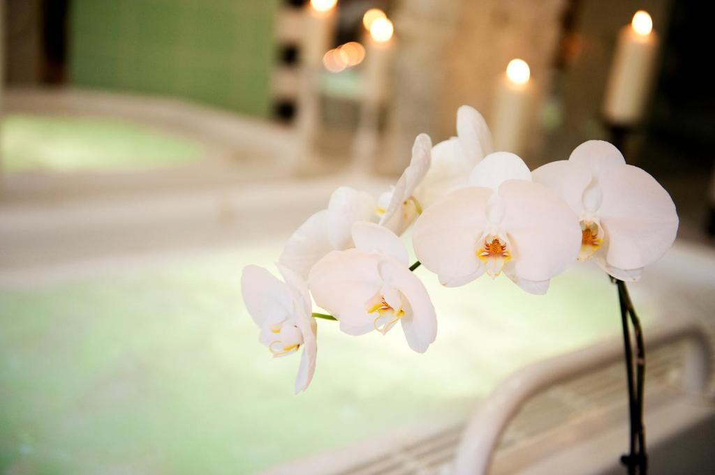 באד וילסנאק Ringhotel Vitalhotel Ambiente מראה חיצוני תמונה
